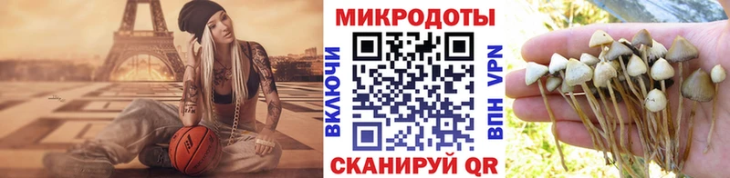 Псилоцибиновые грибы Psilocybine cubensis  Златоуст 